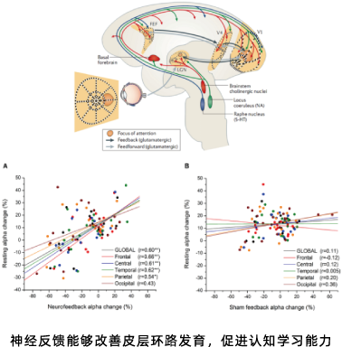 166270656469934543.png 资源 1.png