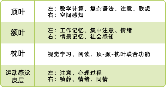 166270680879019678.png 资源 5.png